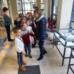 Pszczoły w Bibliotece