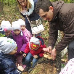 Wycieczka do Nadleśnictwa Stalowa Wola – Rozwadów