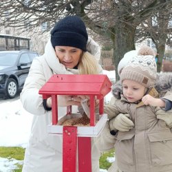 01946261-9c03-48d0-8df0-a79eae5a905c_5_11zon