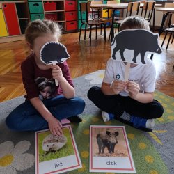 206a37bd-bdca-4095-a508-c80e94125e4d