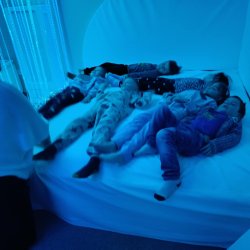 40408a47-dbe9-4f0f-acb3-99e2f611c3f6_11zon