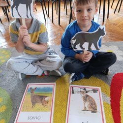 494620cb-a965-448f-ae8c-d17c99f55901