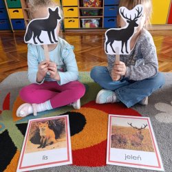 a3859167-1602-4b9f-a853-e4eb8c6ab694