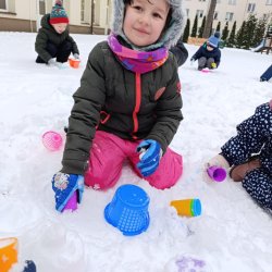 Motyle eksperymentują na śniegu 