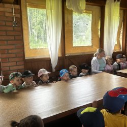 image_7c07d0e3-b6c0-4c1c-a827-b85f322f74cf_1750516988