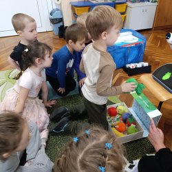 grupa Pszczoły