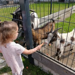 img_20250610_100724