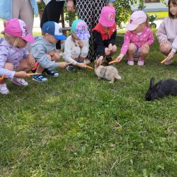 img_20250617_092822