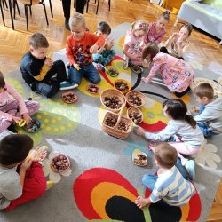 Jesienne zabawy - Motyle