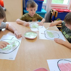 Motyle wielozmysłowo poznają owoce i warzywa