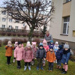 Głodne wróbelki- dokarmianie ptaków